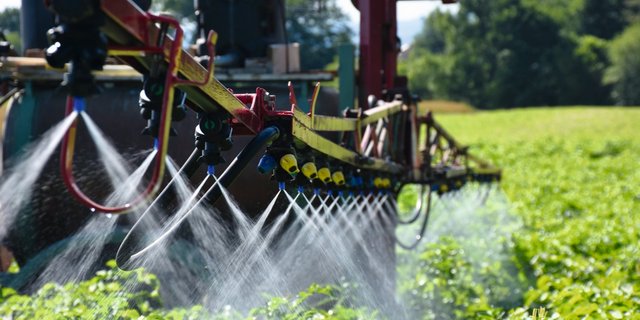 Welche alternativen Methoden werden im Pflanzenschutz an Bedeutung gewinnen? Bild: Thomas Steiner, Fachstelle Pflanzenschutz Bern
