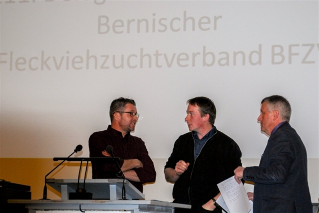 Vor der DV: Ferdinand Oehrli, Züchter aus Teuffenthal, BFZV-Geschäftsführer Christian Burkhalter und BFZV-Präsident Niklaus Hofer (von links) im Gespräch. 