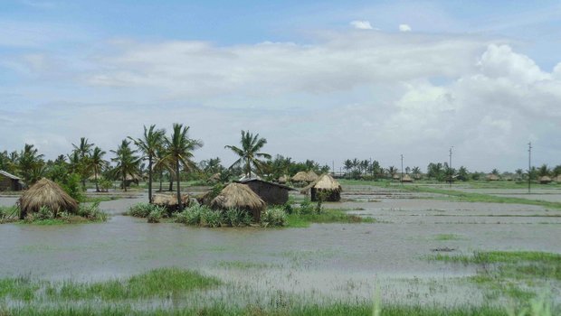 Dieses Jahr fiel in Mozambique besonders viel Regen und setzte riesige Flächen unter Wasser. (Bild Romea Brügger)