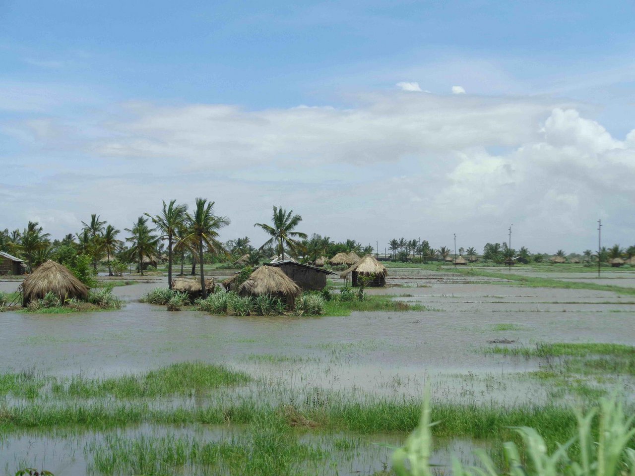 Dieses Jahr fiel in Mozambique besonders viel Regen und setzte riesige Flächen unter Wasser. (Bild Romea Brügger)