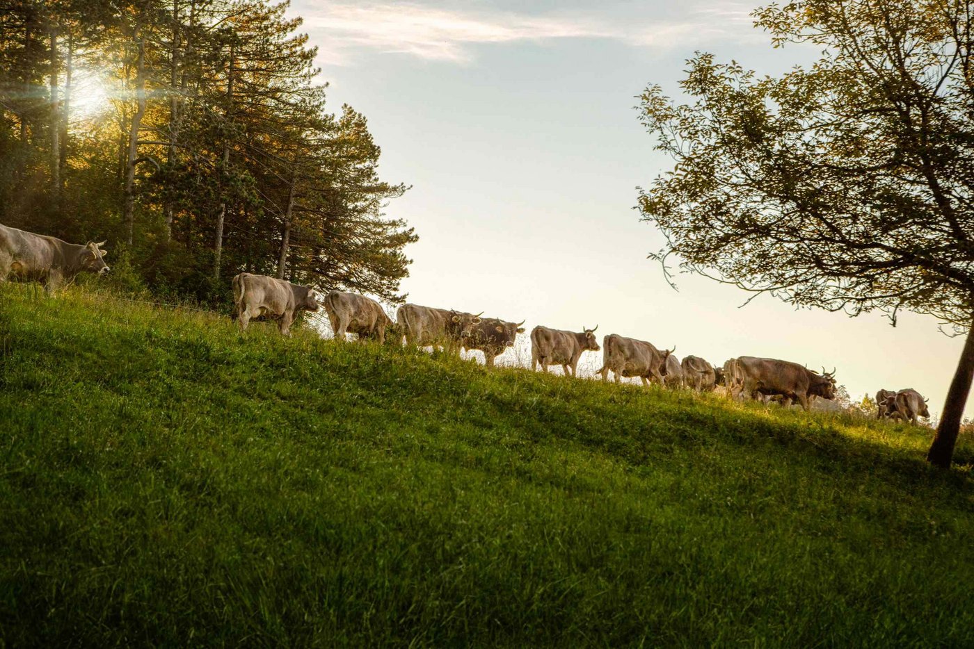 Der Demeter-Verband will bei politischen Themen mit landwirtschaftlichem Hintergrund nicht mehr länger neutral bleiben. (Bild Demeter-Verband)