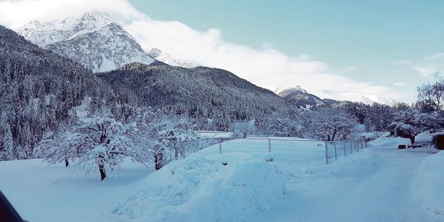Die Massnahmen, um das Kontaktverbot zwischen Rotwild und Nutztieren umzusetzen, sind aufwendig.(Bild zVg)