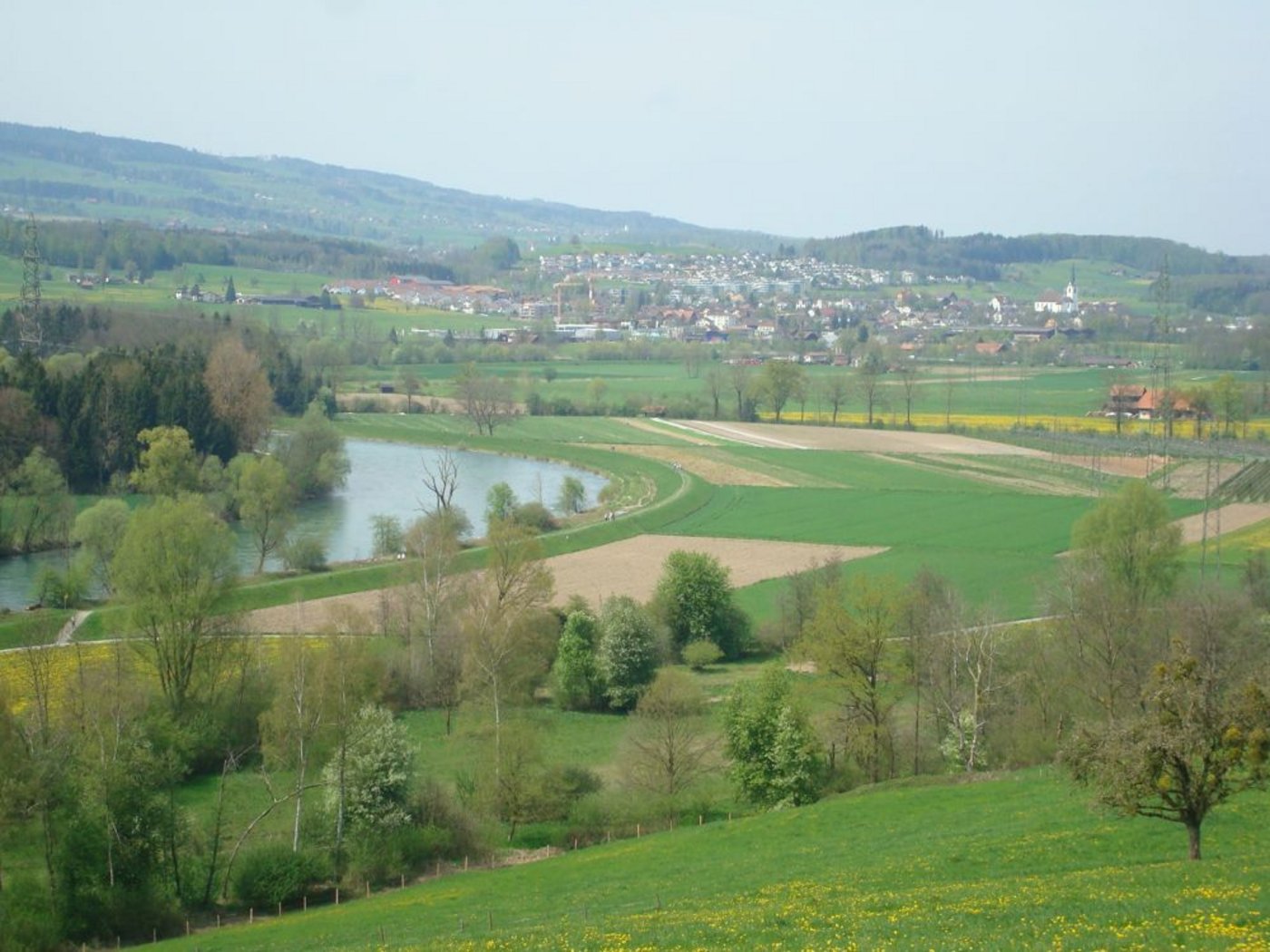 Reusslandschaft im Freiamt. Der Bauernverband Aargau befürchtet, dass hier wegen dem Reussprojekt der   Luzerner noch mehr Wasser durchfliesst und das Kulturland gefährden kann. (Bild Josef Scherer)