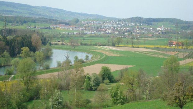Reusslandschaft im Freiamt. Der Bauernverband Aargau befürchtet, dass hier wegen dem Reussprojekt der  Luzerner noch mehr Wasser durchfliesst und das Kulturland gefährden kann. (Bild Josef Scherer)
