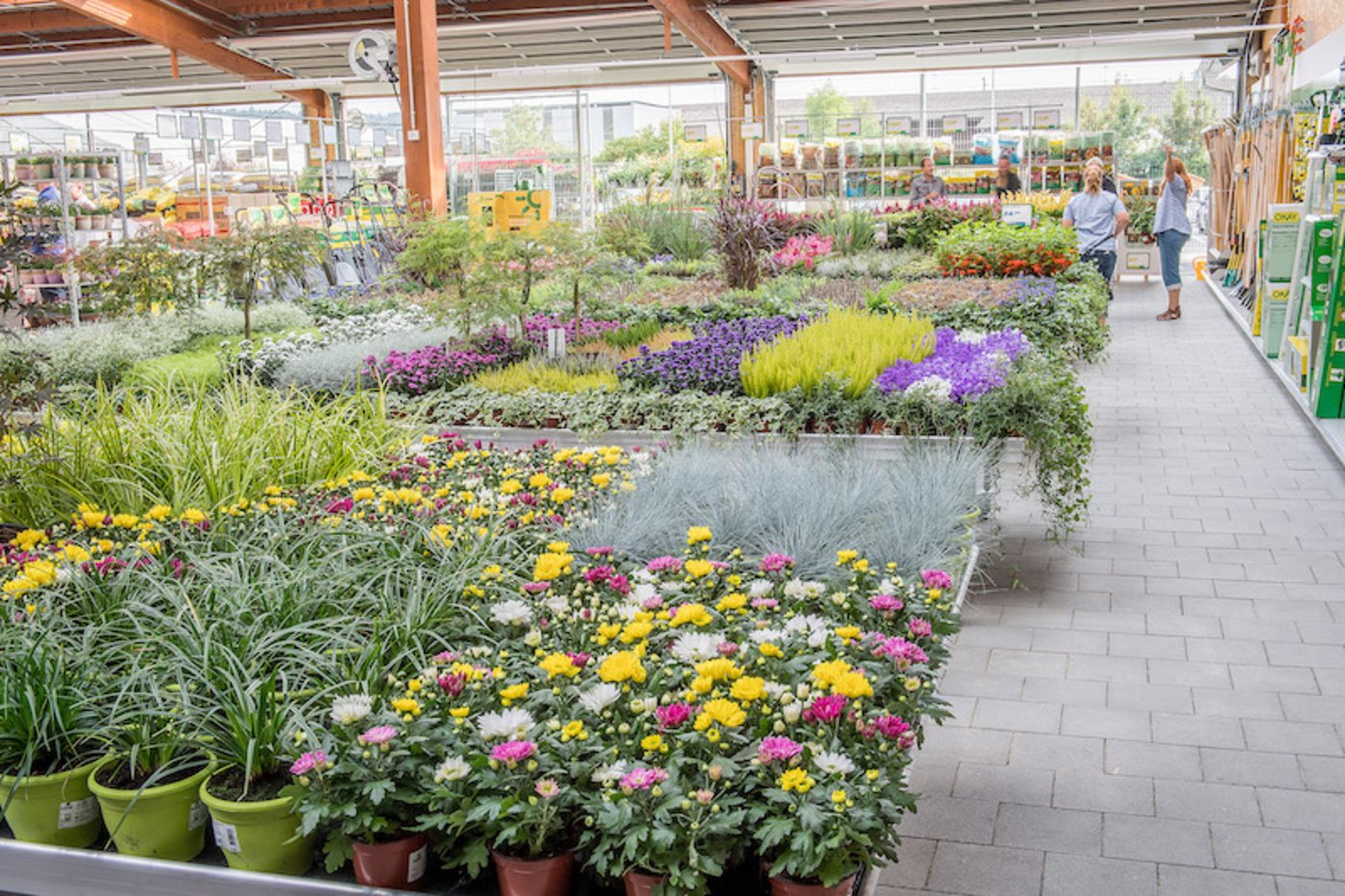 Farbiges und Gemüse für den Garten sind in der Landi jetzt, da diese Produkte wieder vor Ort gekauft werden dürfen, besonders begehrt. (Symbolbild landi)