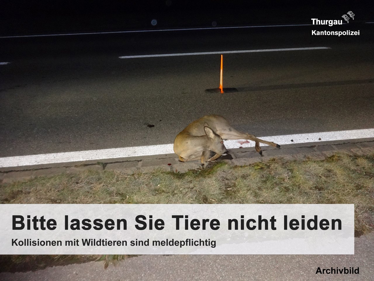 Bei Dämmerung müssen Autofahrer besonders achtsam sein. (Symbolbild Kantonspolizei Thurgau)