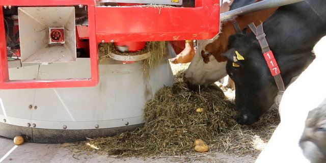 Der Lely Vector beim Ausdosieren der Futterration. (Bild: Simon Möri)
