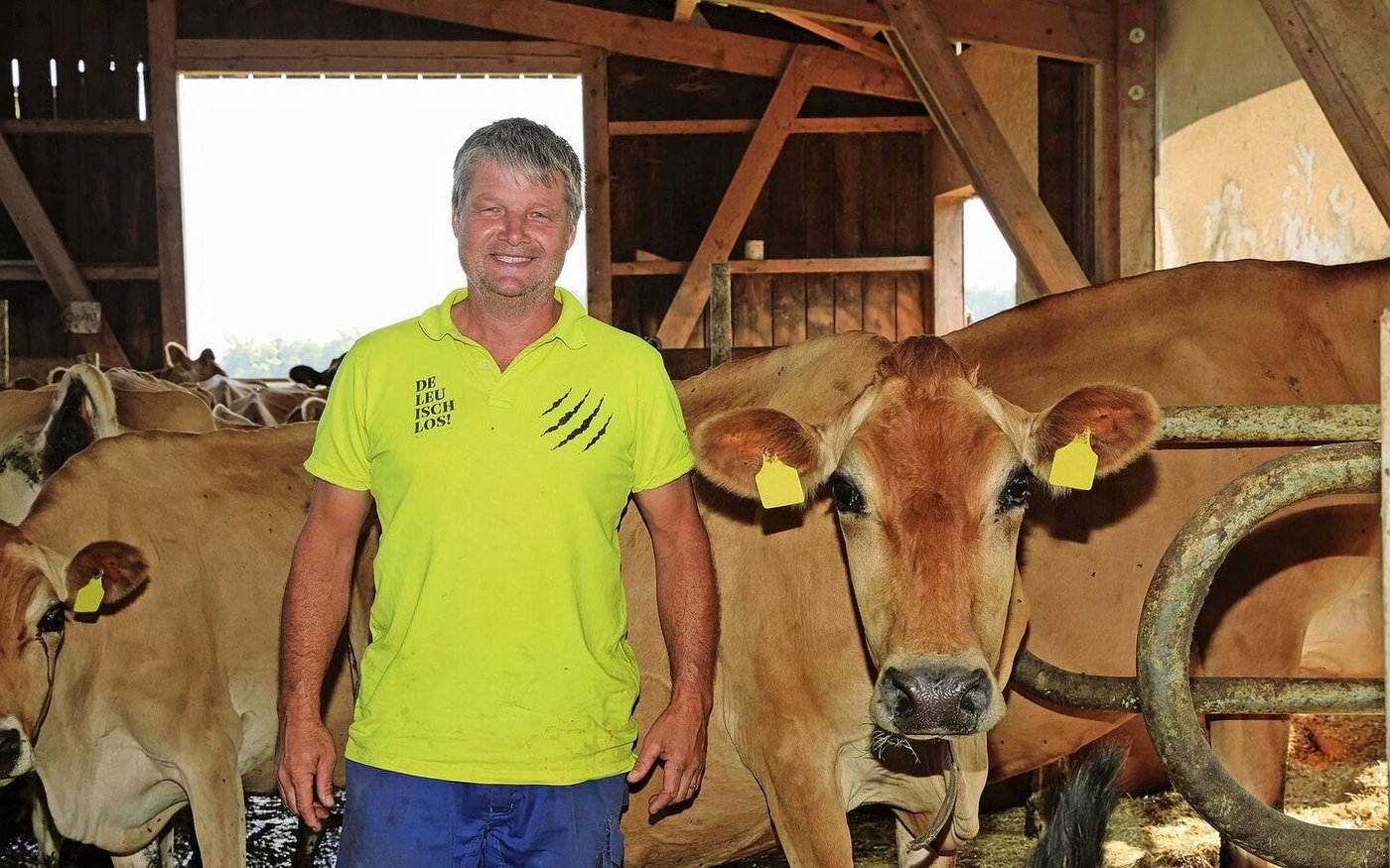 Jürg Sprenger inmitten seiner Jersey-Milchkühe. 350 000 kg Milch produziert die 83-köpfige Herde im Jahr, mit Vollweide, Heu und ohne Kraftfutter. In den Stall gehen die Tiere im Sommer nur, um der Mittagshitze zu entfliehen. 