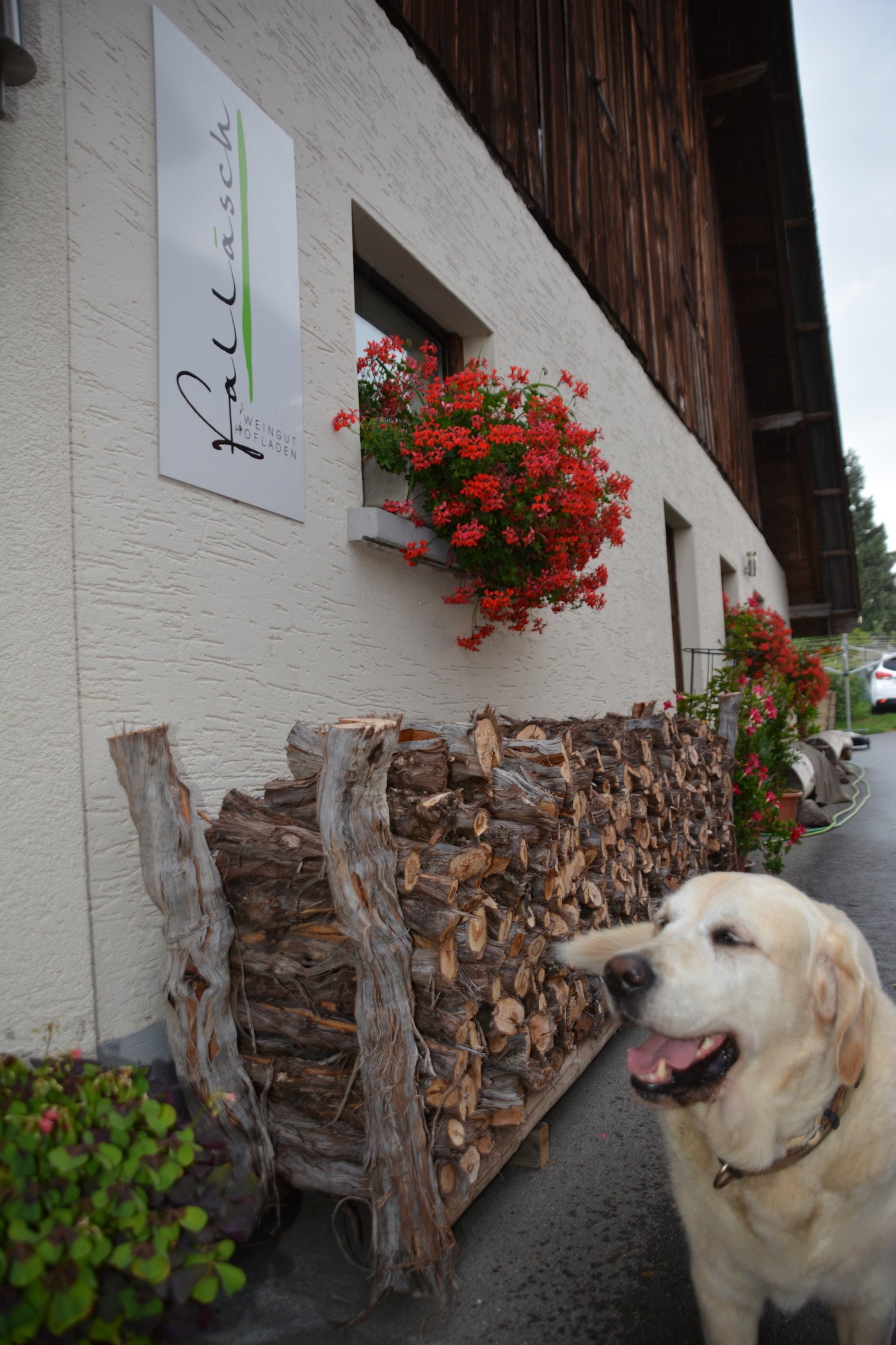 Aus dem ehemaligen Schweinestall ist ein schmucker Hofladen mit Degustationsraum geworden.