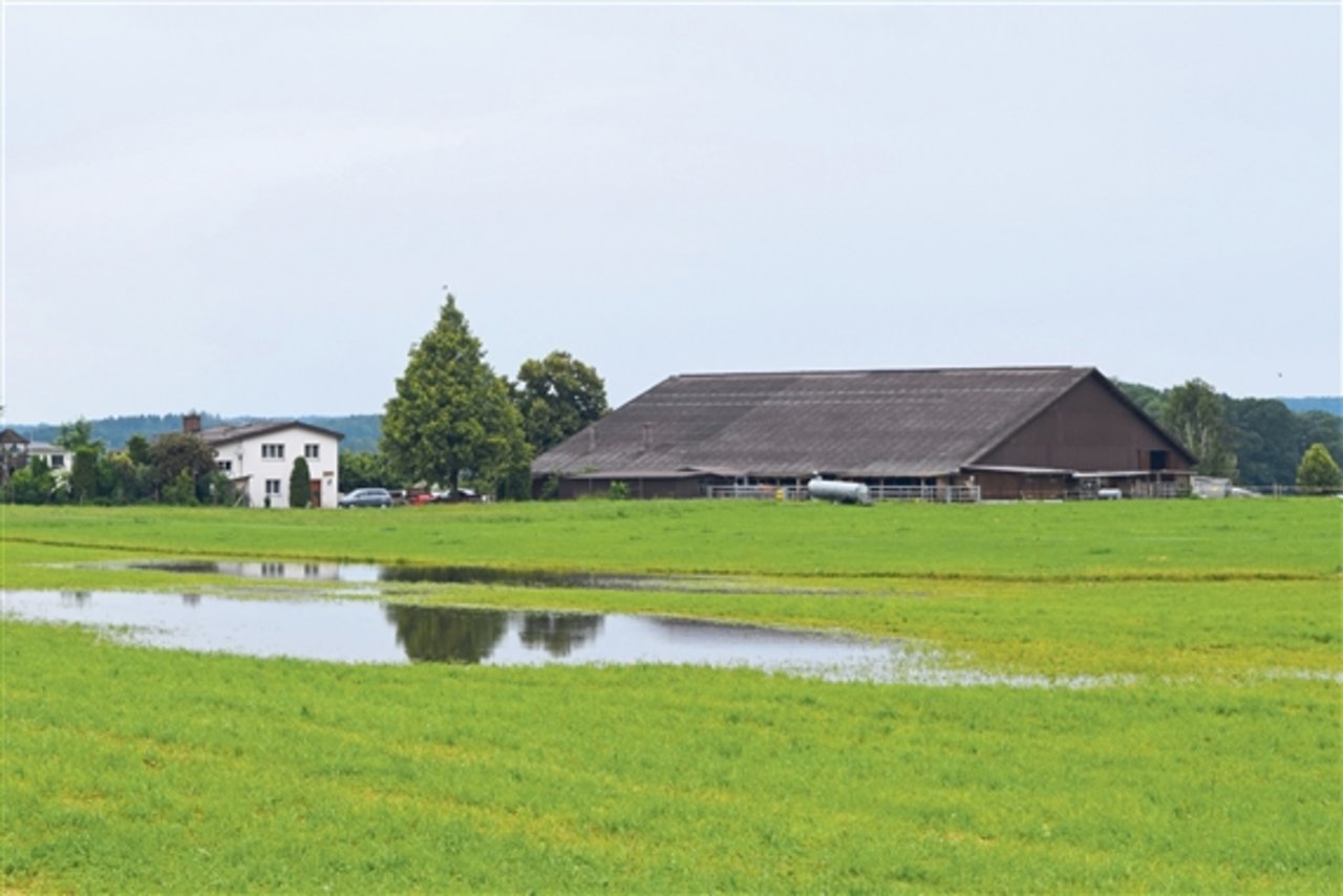 Bereits vergangenen Sommer machten überschwemmte Wiesen und Äcker den Bauern das Leben schwer (hier ein Feld bei Erlen TG). (Bild Stefanie Giger) 