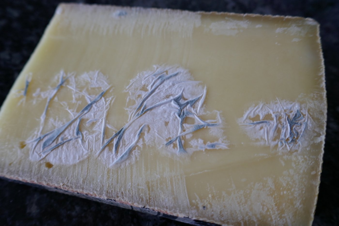 Unerwünschter Schimmelpilz auf Käse.