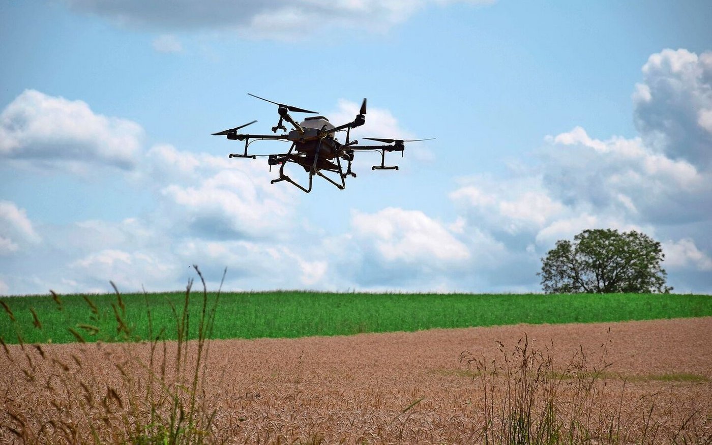 Für eine Hektare braucht die Saatdrohne 15 Minuten. Gesät werden Lichtkeimer, die Hitze und Trockenheit aushalten können.