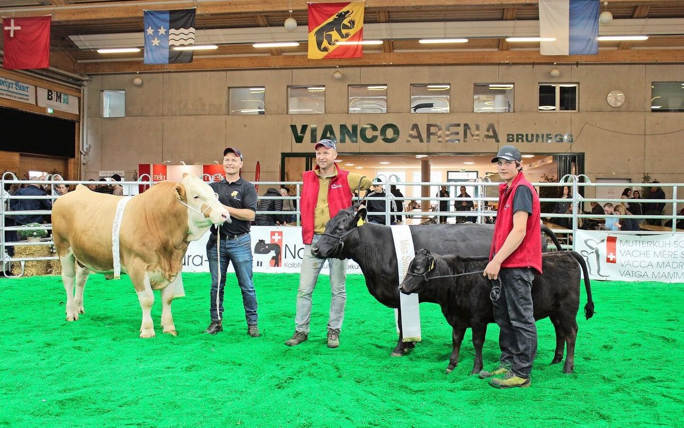 Mister Swissopen 2025 wurde der Simmentalstier Akira von Beat Dietrich aus Gals BE. Miss Swissopen bei den Kühen wurde die Dexter-Kuh Bielenhof Sanja aus Erstfeld UR.