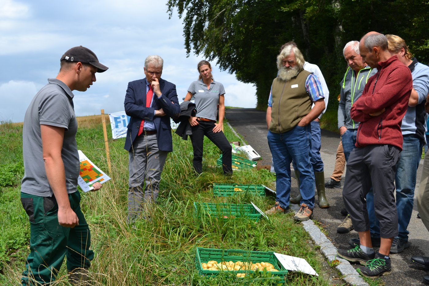Tobias Gelenscér zeigte den Teilnehmenden des Erfahrungsaustauschs die gegrabenen Kartoffeln. Die Resultate des kupferlosen Anbaus variierten stark. (Bild BauernZeitung/Sera Hostettler)