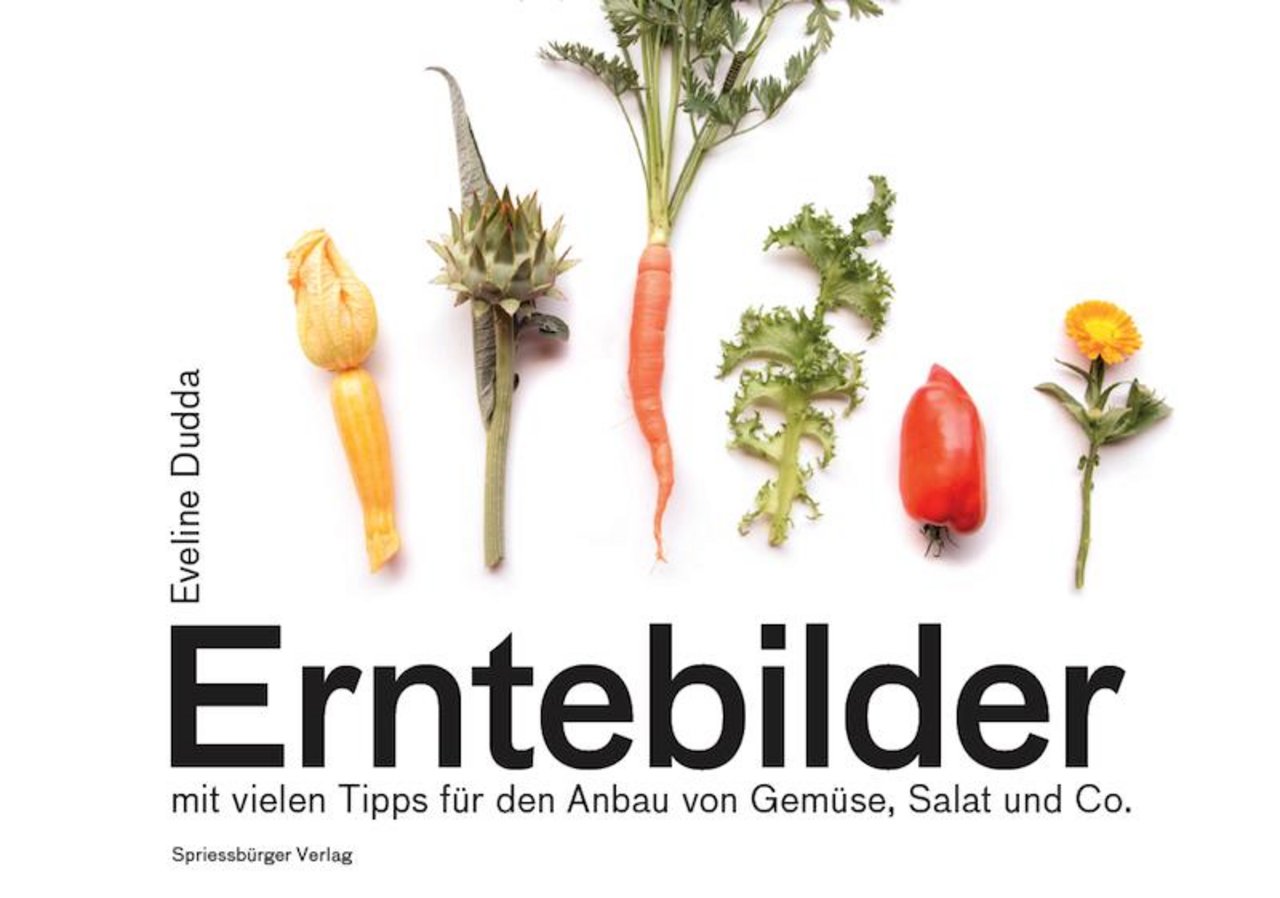 Das Büchlein «Erntebilder» soll auf eine Vielfalt von Gemüse und Salat aus dem eigenen Garten «gluschtig» machen. (Bild zVg/Video et) 