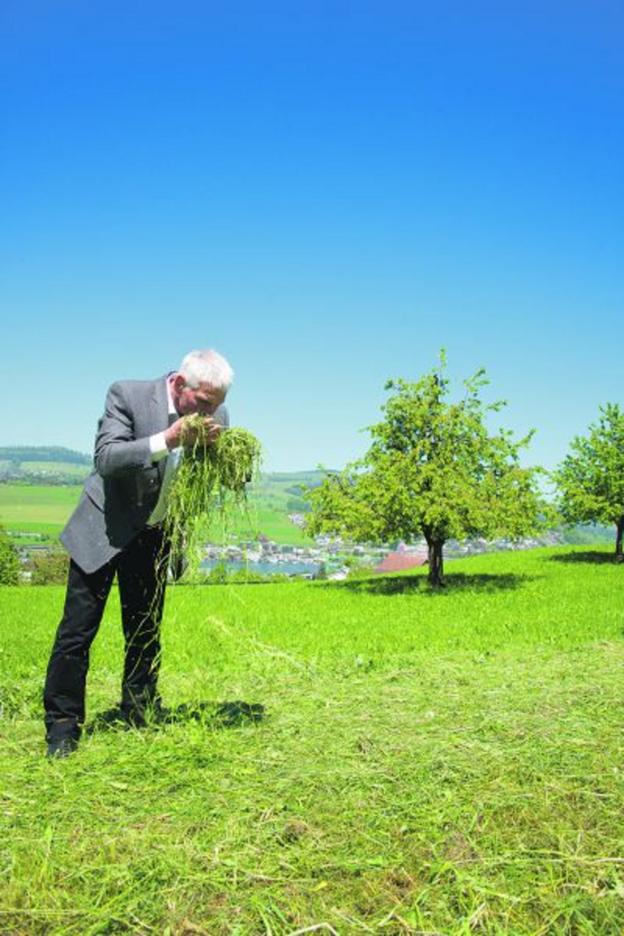 Gehören zusammen: Walter Münger und frisch geschnittenes Gras, das bald Heu werden wird. (Bild hja)