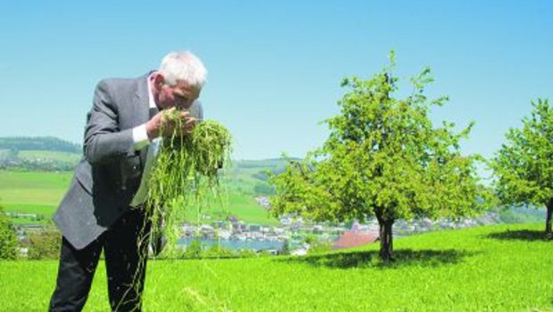 Gehören zusammen: Walter Münger und frisch geschnittenes Gras, das bald Heu werden wird. (Bild hja)