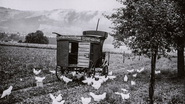In den 1930er-Jahren propagierte Geflügelexpertin Margrit Häberli die mobile Freilandhaltung für Legehennen (hier ein Bild vom Schwand in Münsingen BE). Das Mastgeflügel hielt man damals auf dem Schwand in Drahtkäfigen.