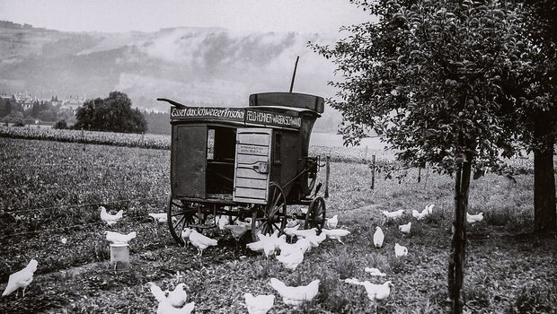 In den 1930er-Jahren In den 1930er-Jahren propagierte Geflügelexpertin Margrit Häberli die mobile Freilandhaltung für Legehennen (hier ein Bild vom Schwand in Münsingen BE). Das Mastgeflügel hielt man damals auf dem Schwand in Drahtkäfigen.