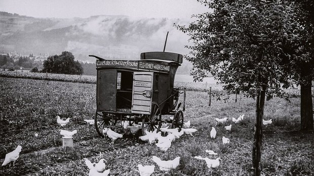 In den 1930er-Jahren In den 1930er-Jahren propagierte Geflügelexpertin Margrit Häberli die mobile Freilandhaltung für Legehennen (hier ein Bild vom Schwand in Münsingen BE). Das Mastgeflügel hielt man damals auf dem Schwand in Drahtkäfigen.