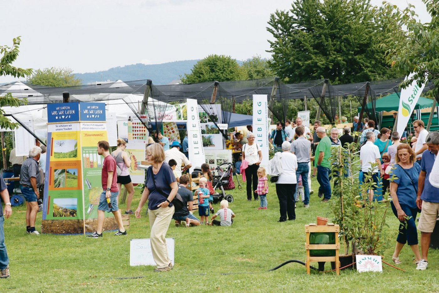 Mehrere Tausend Besucher kamen ans Apfelfest: Die Obstproduzenten boten Fachinformationen, ein attraktives Rahmenprogramm und herzhafte Verpflegungsmöglichkeiten. (Bild Ruth Aerni)