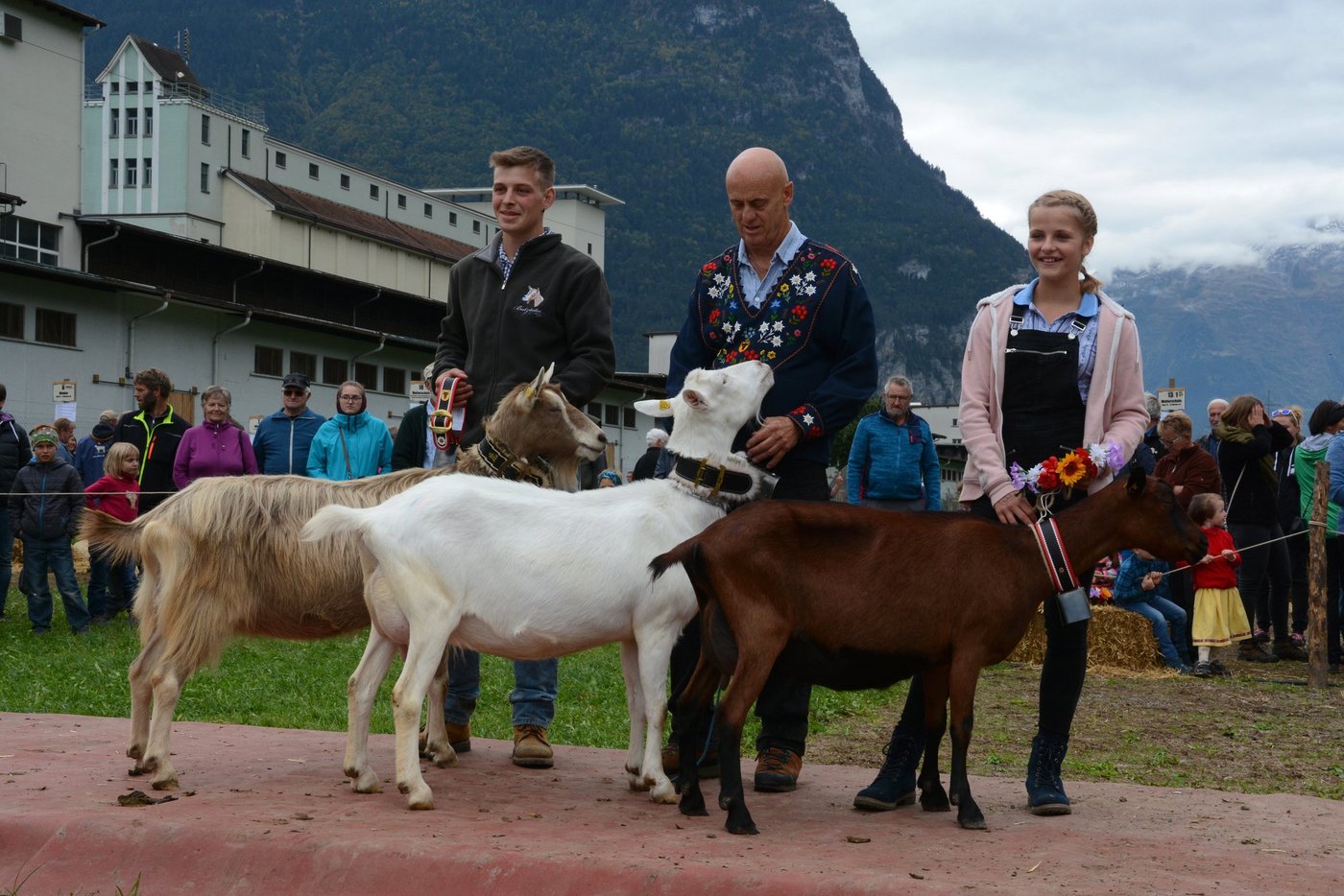 Die Missen der drei Hauptrassen (v. l. n. r.) gehören: Marco Herger, Altdorf; Tino und Valo Gisler, Bürglen; Theo und Toni Kempf, Attinghausen. (Bilder ag)