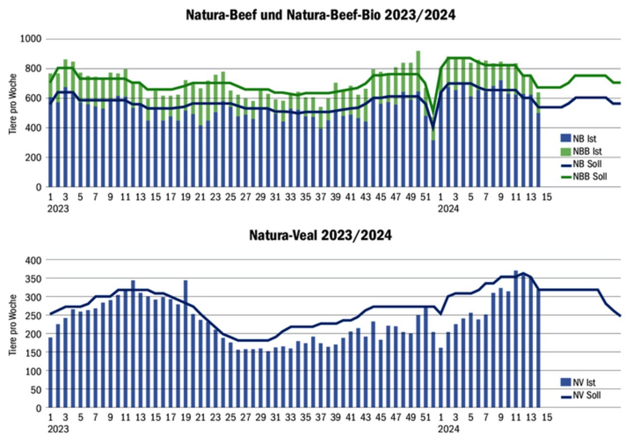 Während Mutterkuh Schweiz in vergangenen Jahren jeweils zu dieser Jahreszeit zu viele Natura-Beef hatte, sieht es dieses Jahr anders aus und die gewünschte Menge kann nicht geliefert werden.