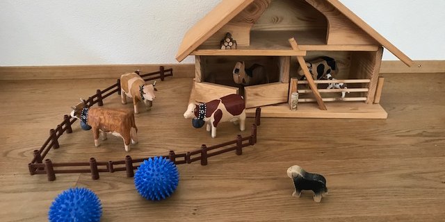 Je länger die Corona-Krise dauert, desto mehr wirkt sie sich auch finanziell auf landwirtschaftliche Betriebe aus. (Bild zVg)