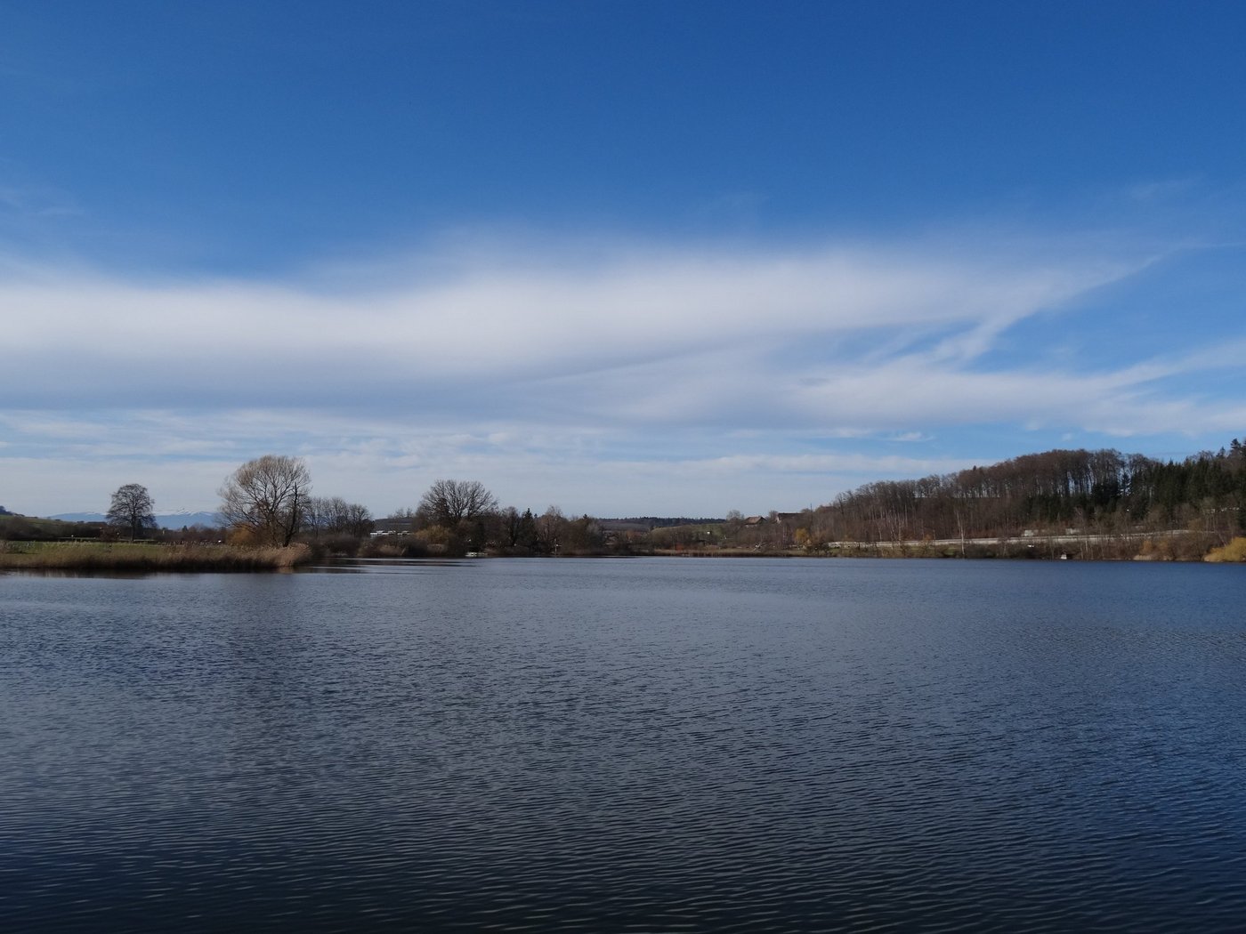 Der Moossee liegt im Norden der Stadt Bern. Er befindet sich in einem Naturschutzgebiet, das von stark landwirtschaftlich genutzten Flächen umgeben ist. Der Eintrag von Pflanzenschutzmitteln ist deshalb hoch. (Bilder (Universität Bern)