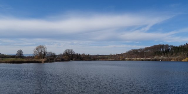 Der Moossee liegt im Norden der Stadt Bern. Er befindet sich in einem Naturschutzgebiet, das von stark landwirtschaftlich genutzten Flächen umgeben ist. Der Eintrag von Pflanzenschutzmitteln ist deshalb hoch. (Bilder (Universität Bern)