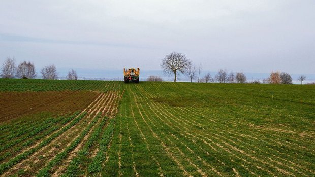 Beim Ausbringen von Beim Ausbringen von Gülle entstehen durch den Schleppschlauch Güllemädli – hässlich anzusehen, aber von der Fütterung her kein Problem.