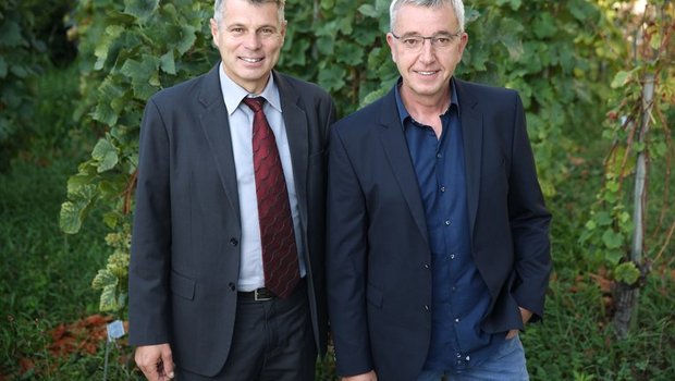 Volkswirtschaftsdirektor Christoph Ammann und Martin Hubacher, Berner Winzer des Jahres 2018. (Marco Zanoni)