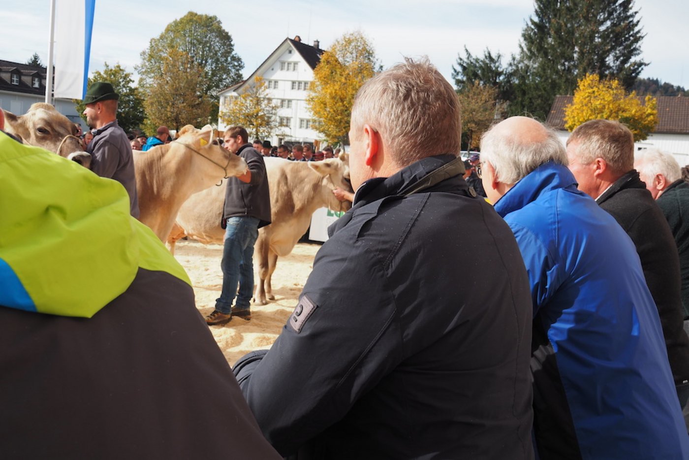 Das Interesse am Geschehen im Ring ist gross
