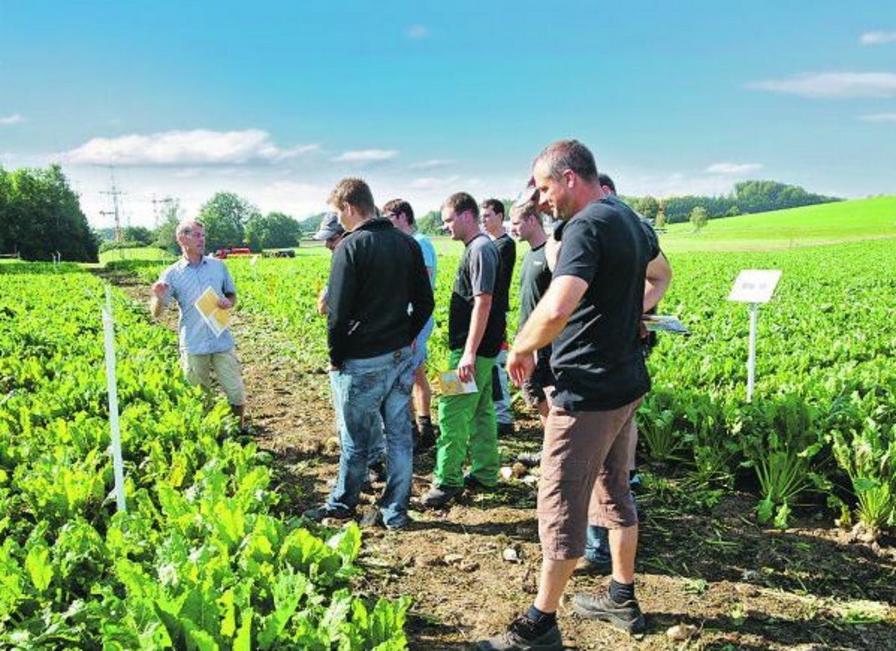 Optimaler Hörsaal für Landwirte: Vorlesung auf dem Feld. (Bild Strickhof)