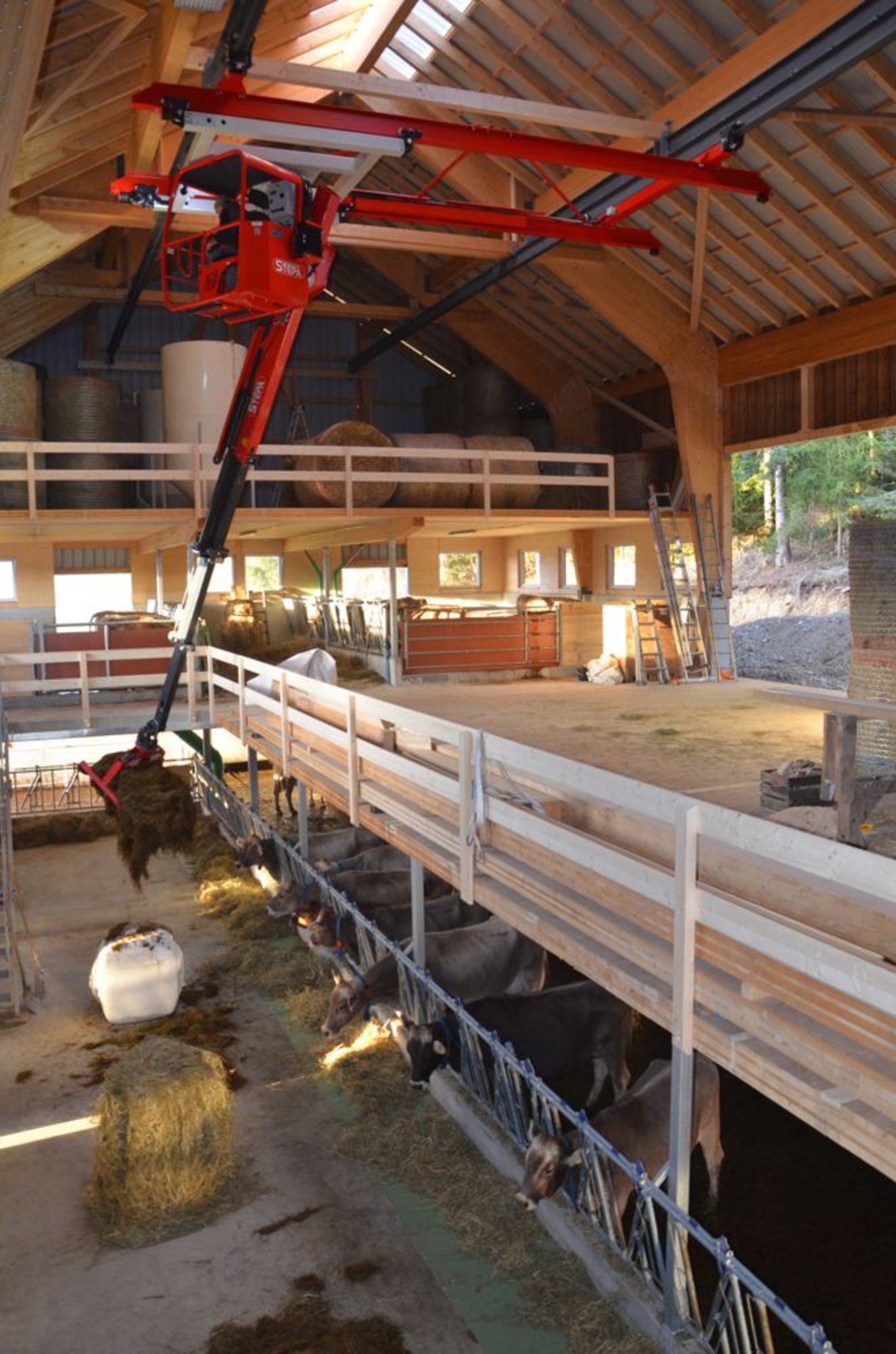 Der gesamte Stall kann mit dem Greifer bewirtschaftet werden. (Bild Aline Küenzi)