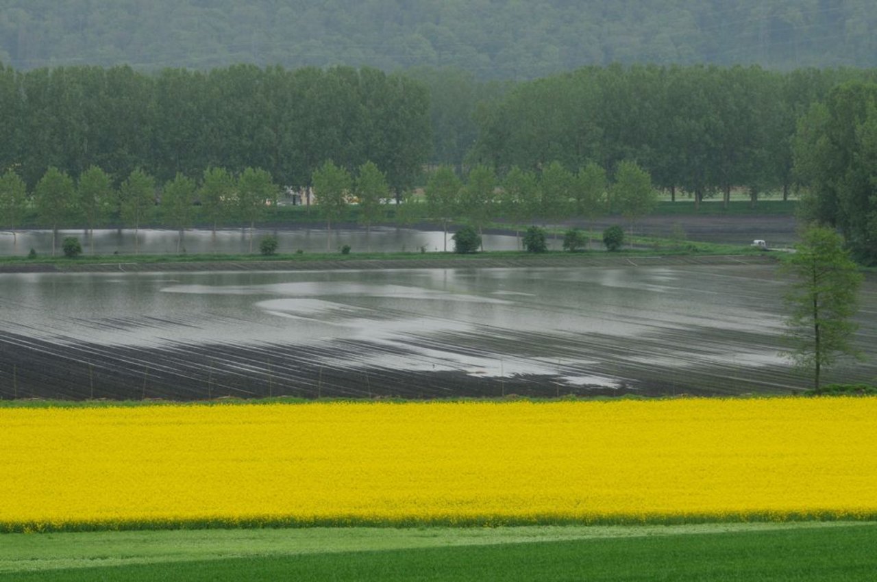 Noch im Mai standen in einigen Gebieten der Schweiz die landwirtschaftlichen Felder unter Wasser, weil es in vielen Gebieten zu üppige Niederschläge gab – im Bild ein Acker bei Orbe VD.