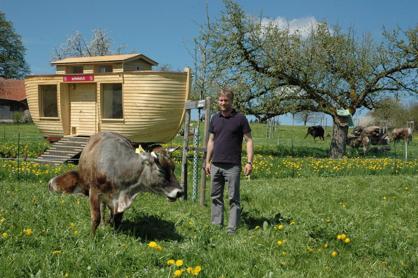 Landwirt Urs Amrein hält nun auf dem Archehof Rätisches Grauvieh.