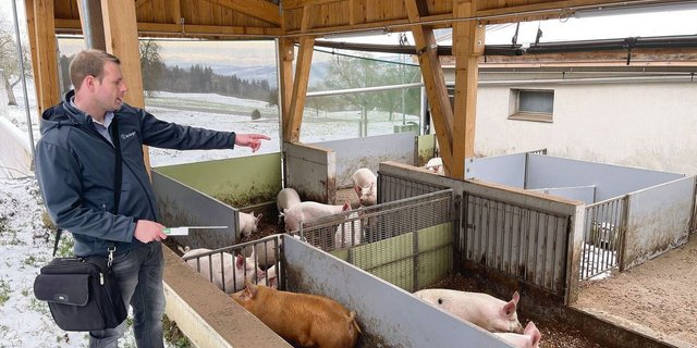 Schweinespezialist Hubert Hartmann, Planer bei Stallbauer Krieger AG, zeigt den strukturierten Auslauf.