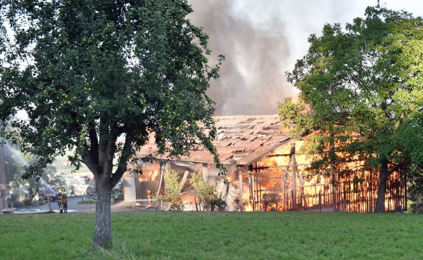 Beim Eintreffen der Feuerwehr stand der Wagenschopf mit Schweinestall bereits in Vollbrand. (Bilder Luzerner Polizei)