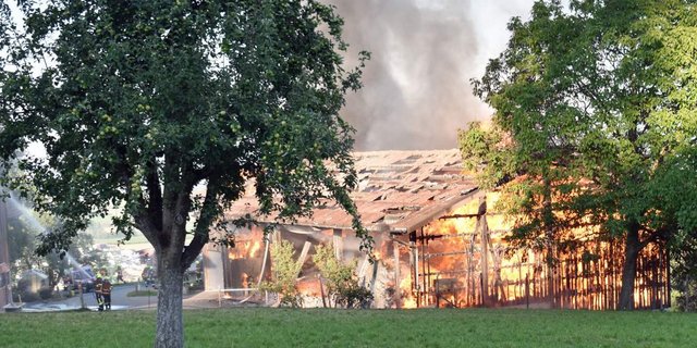 Beim Eintreffen der Feuerwehr stand der Wagenschopf mit Schweinestall bereits in Vollbrand. (Bilder Luzerner Polizei)