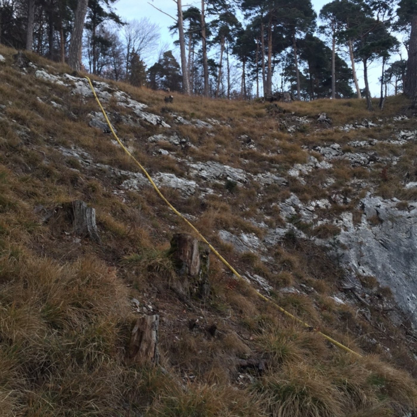 Als Brandursache wird ein nicht sorgfältig gelöschtes Feuer in einer Feuerstelle vermutet. 