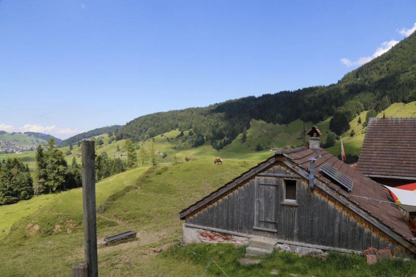 Auf den Schweizer Alpen wird dringend Personal benötigt. (Bild lid)
