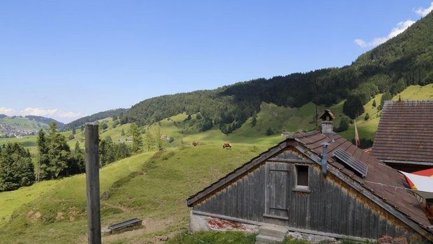 Auf den Schweizer Alpen wird dringend Personal benötigt. (Bild lid)