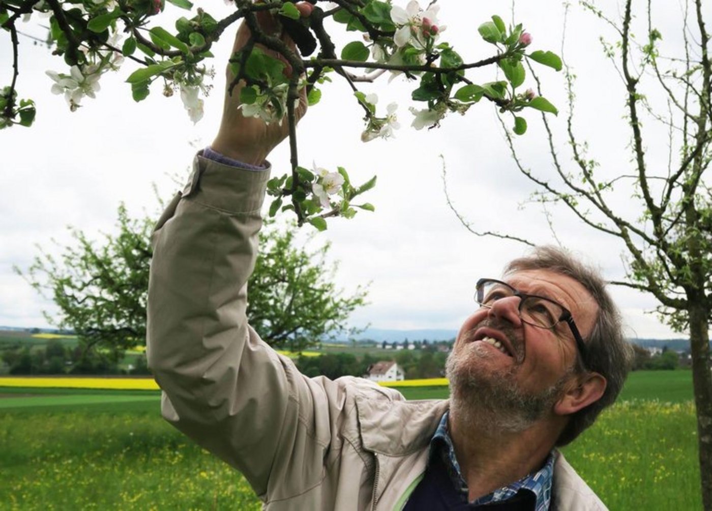Klaus Gersbach setzt sich seit Jahren für den Schweizer Obstbau ein. (zvg)