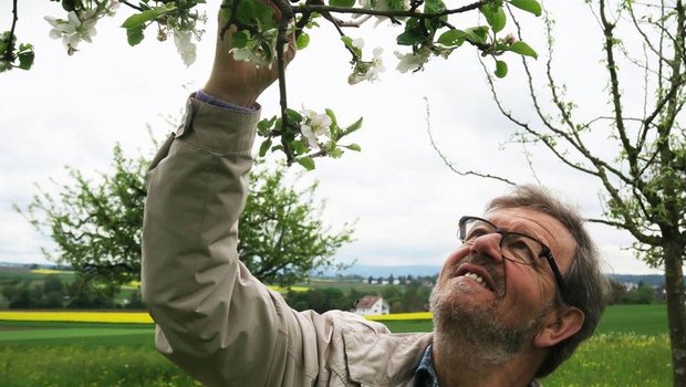 Klaus Gersbach setzt sich seit Jahren für den Schweizer Obstbau ein. (zvg)