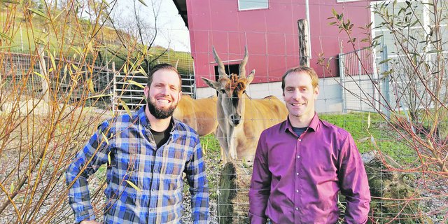 Marco Jäger (links) und Christoph Kläusler (rechts) halten Elenantilopen und setzten auf Tierwohl und Direktvermarktung. Das fett- und cholesterinarme Fleisch lässt sich bisher ausserordentlich gut verkaufen. (Bilder Hans Rüssli)