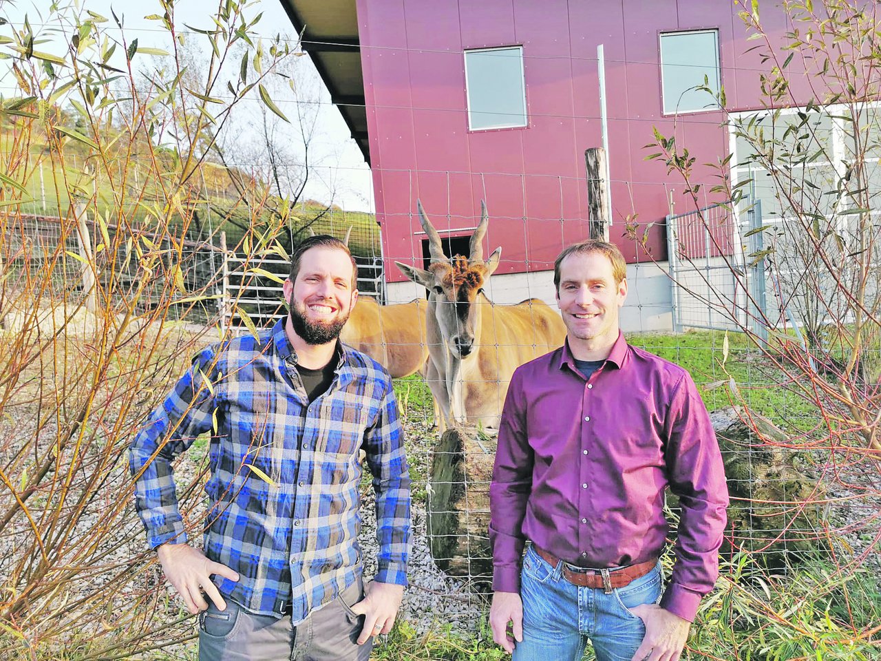 Marco Jäger (links) und Christoph Kläusler (rechts) halten Elenantilopen und setzten auf Tierwohl und Direktvermarktung. Das fett- und cholesterinarme Fleisch lässt sich bisher ausserordentlich gut verkaufen. (Bilder Hans Rüssli)