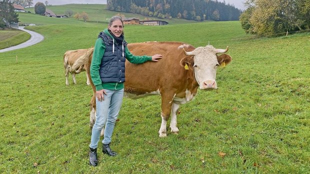 Zum Hof gehören derzeit neun Milchkühe, die meisten davon Simmentaler. «Wir sind keine besonders züchteraffine Familie», sagt Dora Fuhrer. Die Biomilch geht in die Käserei Noflen.