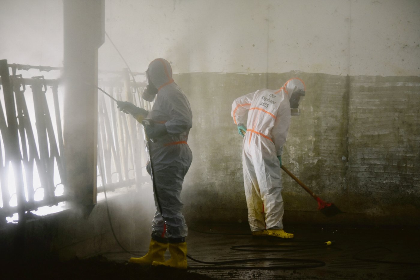 Der Zivilschutz des Kantons Schaffhausen hat eine spezielle Einheit für den Seuchenschutz. Bei der ersten Übung vor zwei Jahren wurde eine komplette Stallung desinfiziert.