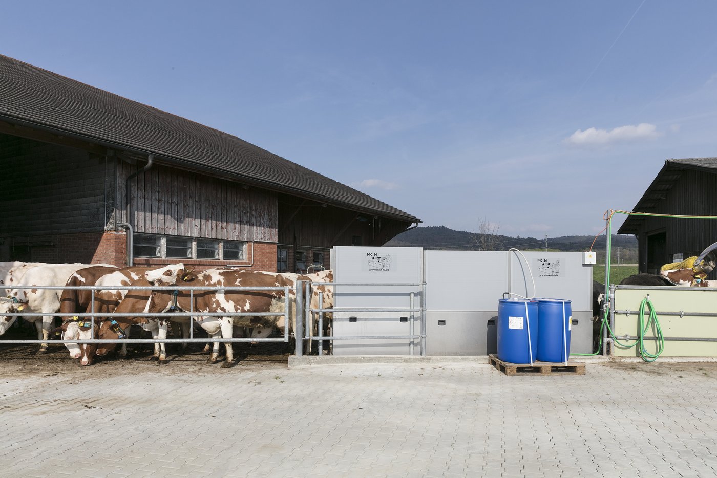 Die Klauenwaschanlage ist im Warteraum zwischen Stall und Melkstand installiert. (Bild: Johanna Bossart)